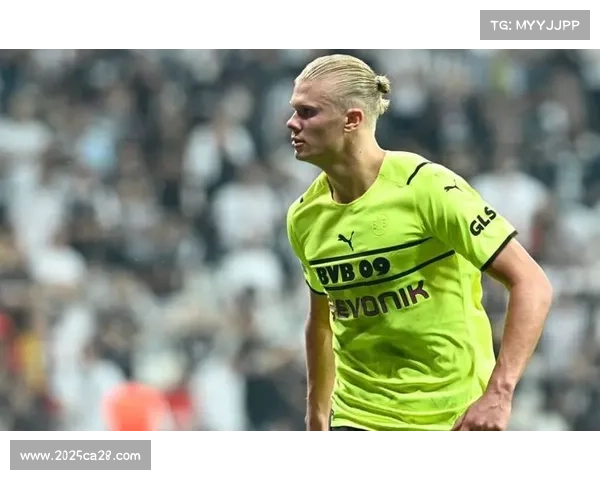 多特蒙德开展二手球衣回收计划 球迷热情参与共筑绿色足球未来