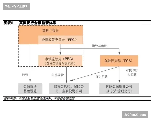 法国媒体监管机构调查Canal+与拜因体育的欧冠转播垄断协议